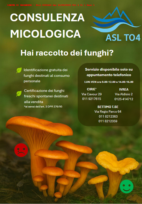 Funghi: sai cosa mangi?